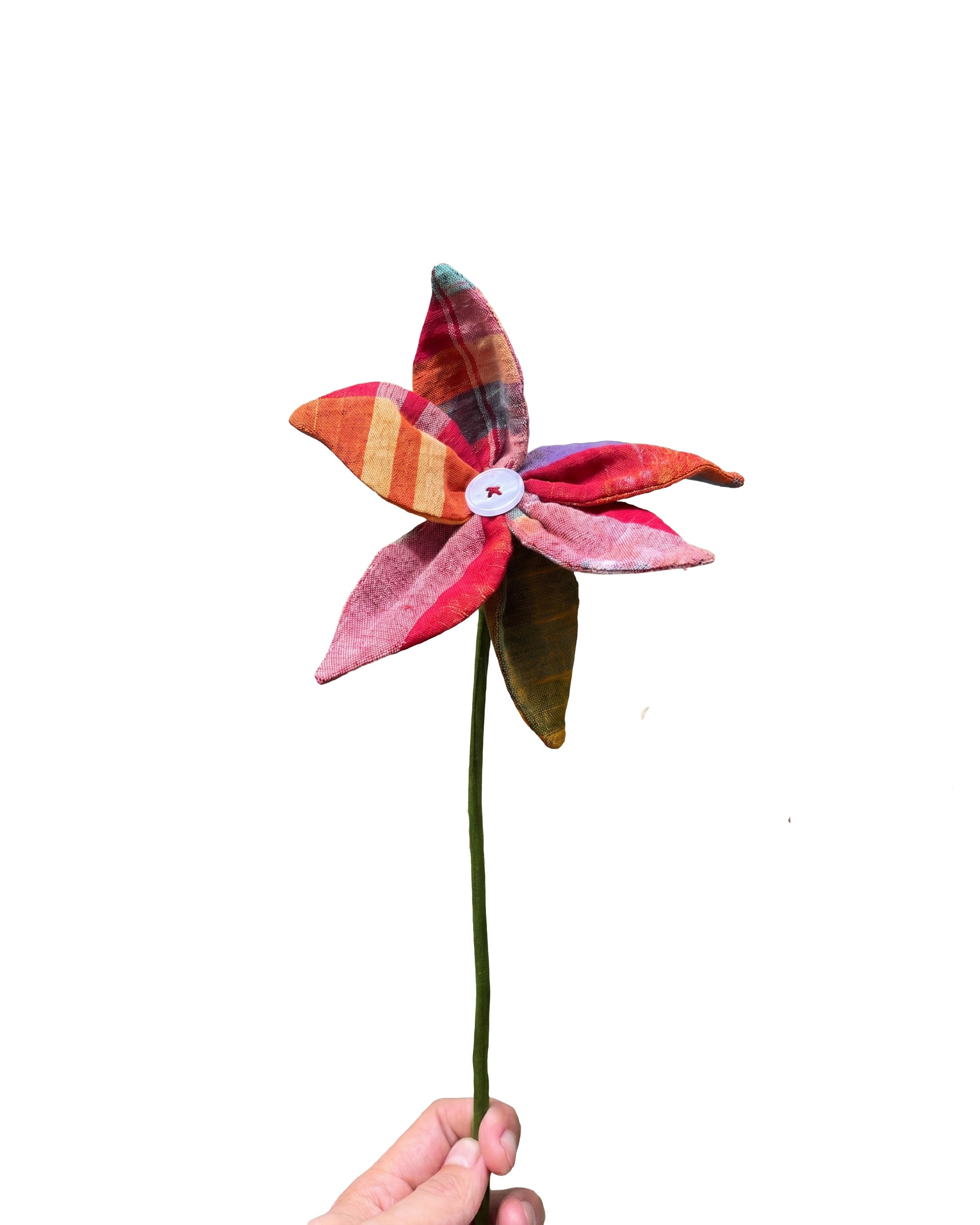 Shiuli Bloom
