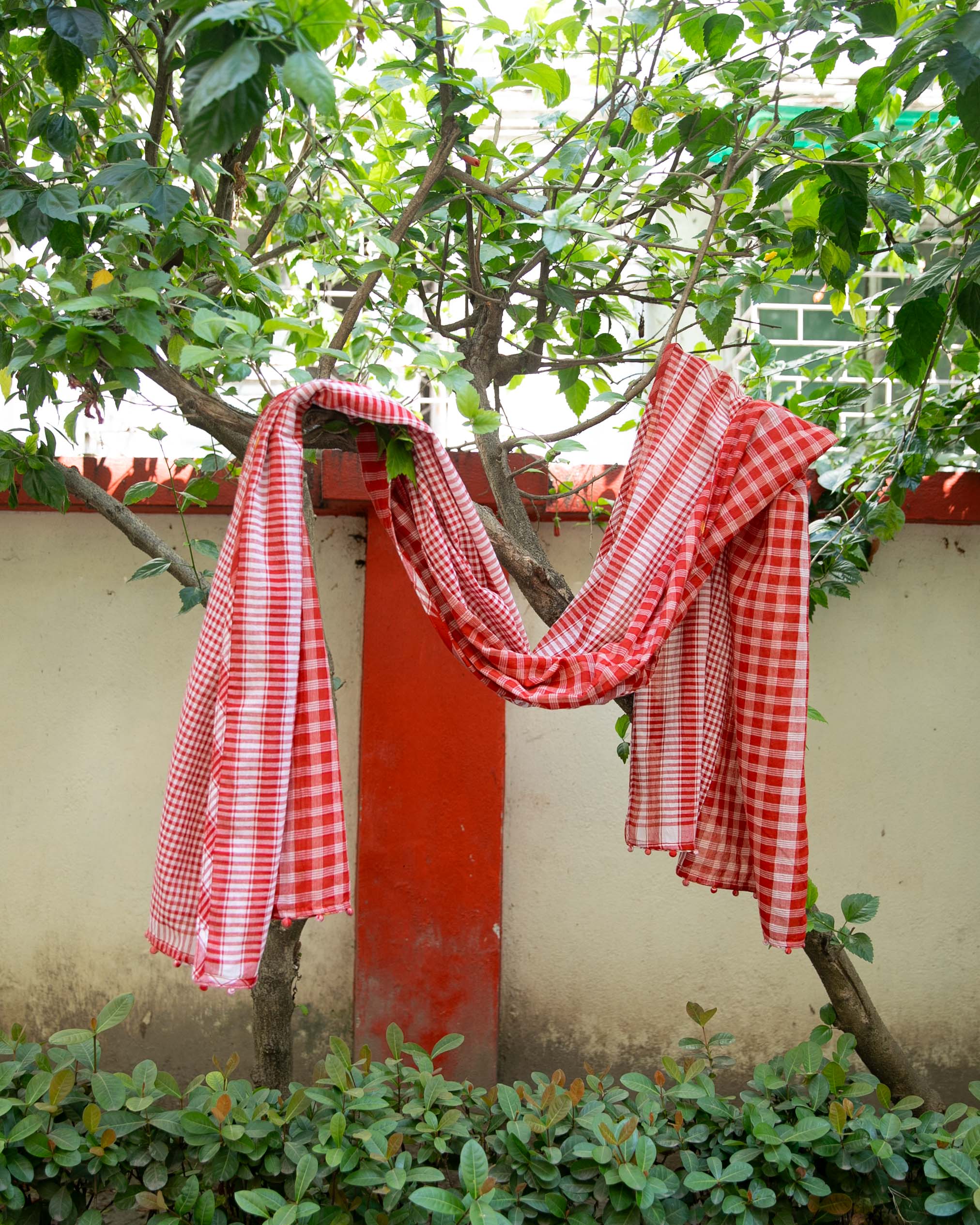 Raahi Dupatta