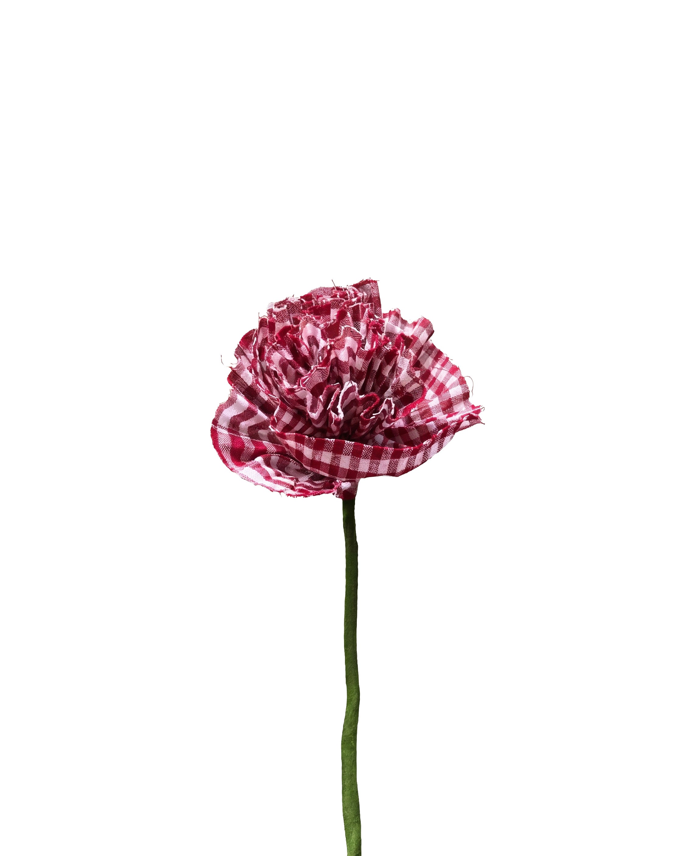 Lal Paar Phool
